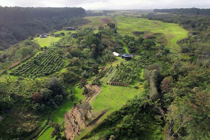 10 Bar Hawaiian Craft Chocolate Tasting Experience - Is $75 a Fair Price?