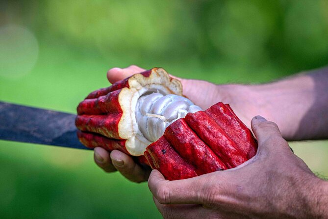 10 Bar Hawaiian Craft Chocolate Tasting Experience - Timing, Group Size, and Practical Details