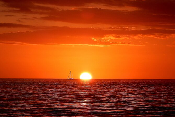 2 hour Tiki Pub Sensational Dolphin Sunset Cruise (Adults only) - Music, karaoke, and the people on board
