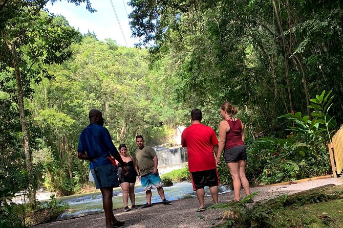 Appleton estate,YS Falls,Black River Safari,Pelican Bar(any 3of4) - YS Falls brings cool water and real physical activity