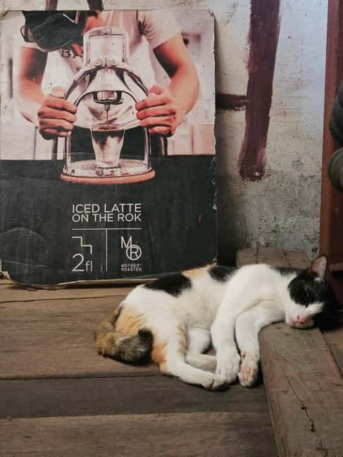 Bangkok: Bar hop Sunset, Dinner, speakeasy, and live music. - Walking through small alleys to TRIPPER new road