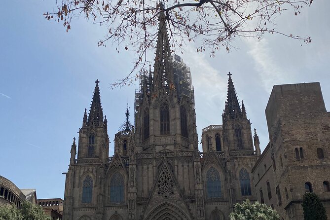 Barcelona: Bar Crawl at Gaixample - What the Strong Praise Gets Right
