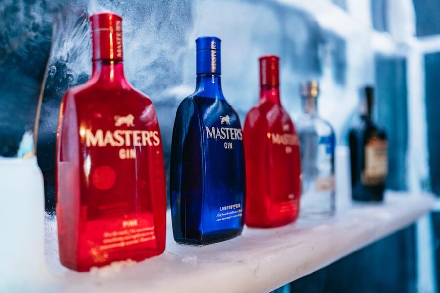 Barcelona: Icebar experience, located at the beach !! - Is the $22 price good value?