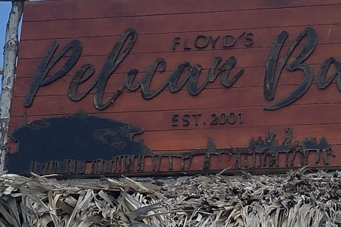 Black River Safari, YS Falls and Floyd's Pelican Bar - Watching crocodiles along the Black River