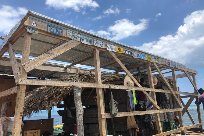Black River Safari, YS Falls and Floyd's Pelican Bar - Who should book this private day out