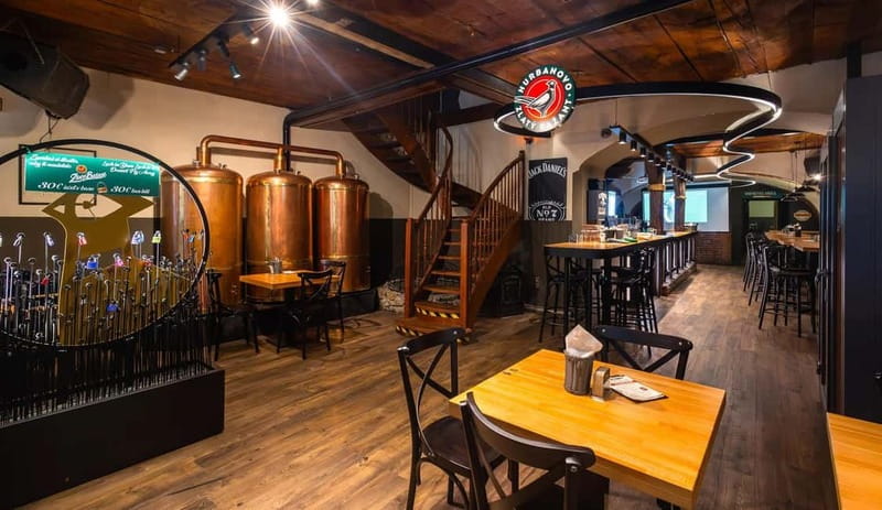 Bratislava: Pub Crawl with VIP Entry, Free Shots & Beer - Why this is a good way to meet Bratislava after dark