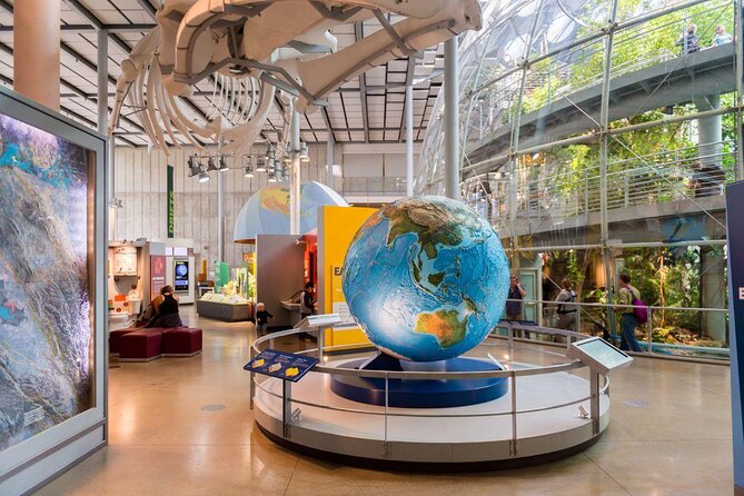 California Academy of Sciences NightLife Admission Ticket - Key points to know before you go