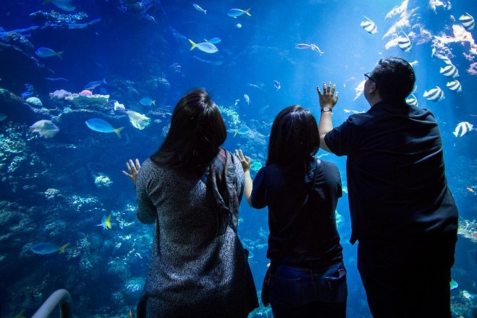 California Academy of Sciences NightLife Admission Ticket - How to plan your four hours