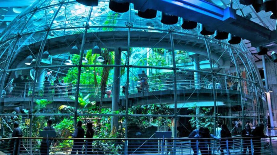 California Academy of Sciences Thursday NightLife Admission - Who Will Enjoy NightLife Most