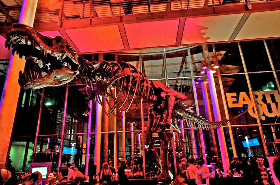 California Academy of Sciences Thursday NightLife Admission - Music, DJs, Cocktails, and Monthly Themes