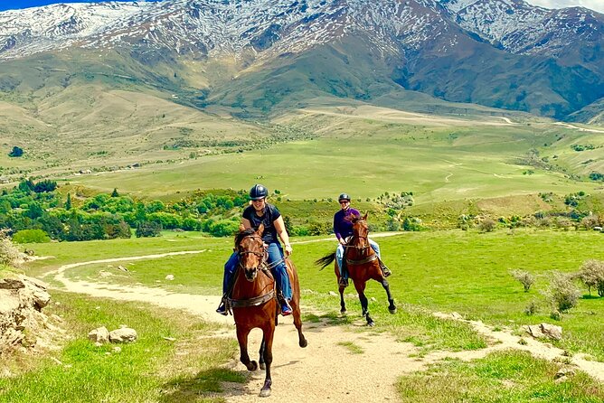 Cardrona High Country Pub Trail Horse Trek (Intermediate level+) - Why the intermediate rating matters