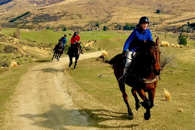 Cardrona High Country Pub Trail Horse Trek (Intermediate level+) - A drink at the Cardrona Hotel