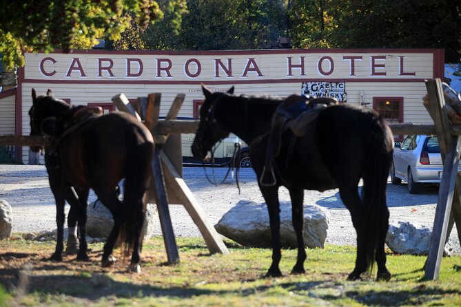 Cardrona High Country Pub Trail Horse Trek (Intermediate level+) - The return along the river