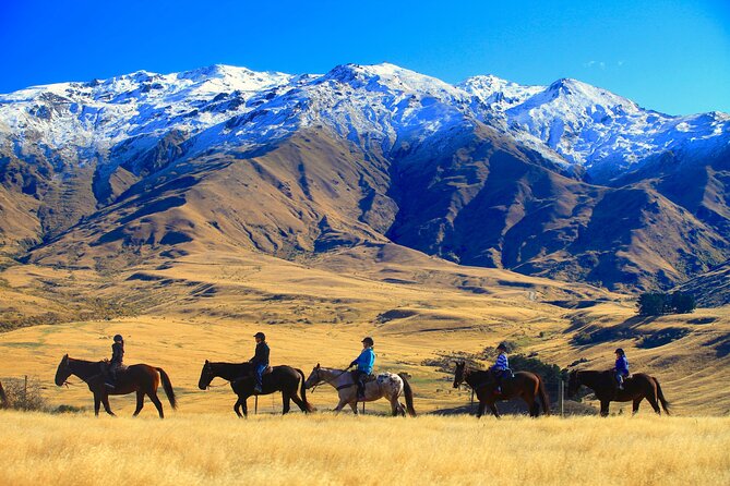 Cardrona High Country Pub Trail Horse Trek (Intermediate level+) - The route up through the high country