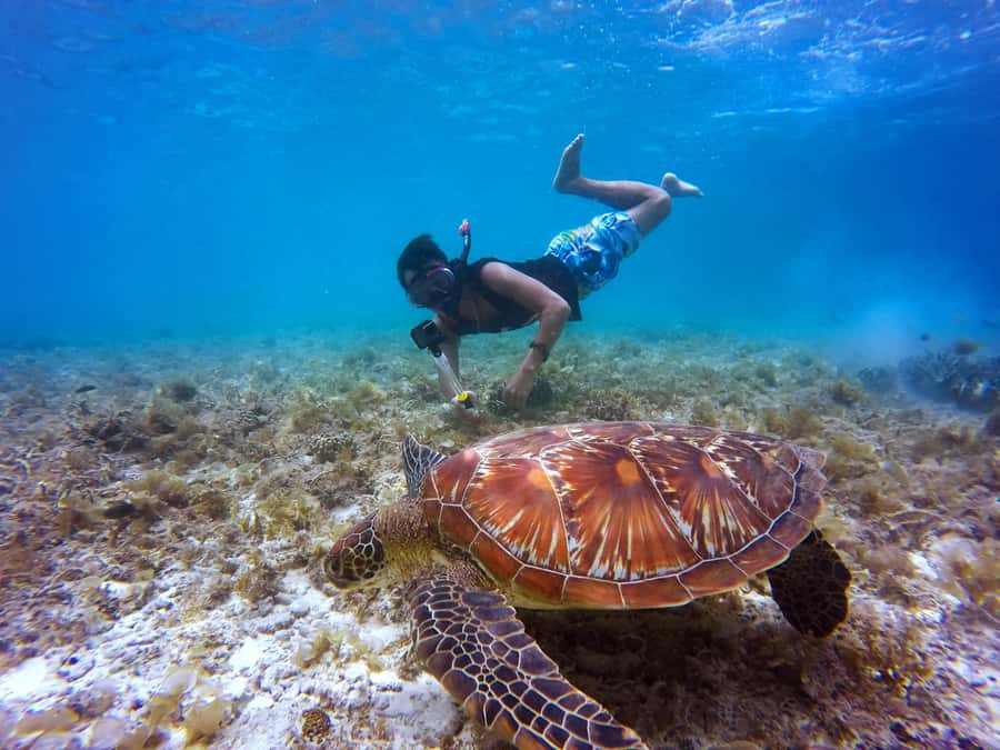 Cartagena: 5 Islands Boat Tour with Lunch, Snorkeling, & Bar - A long island day from Cartagena