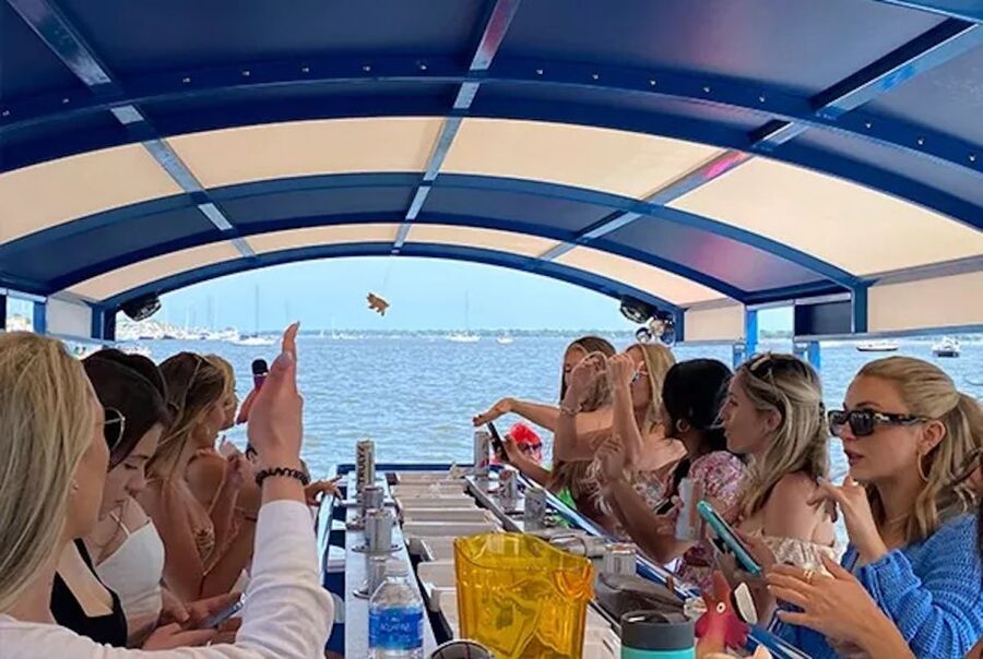 Charleston: Harbor Bar Pedal Boat Party Cruise - Wildlife, breeze, and the open-water setting