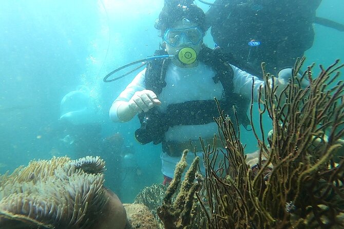Coral Reef Snorkeling and Floating Bar Party from Nha Trang - Why this Nha Trang boat day feels different