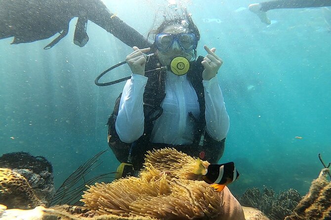 Coral Reef Snorkeling and Floating Bar Party from Nha Trang - Who should book this experience?
