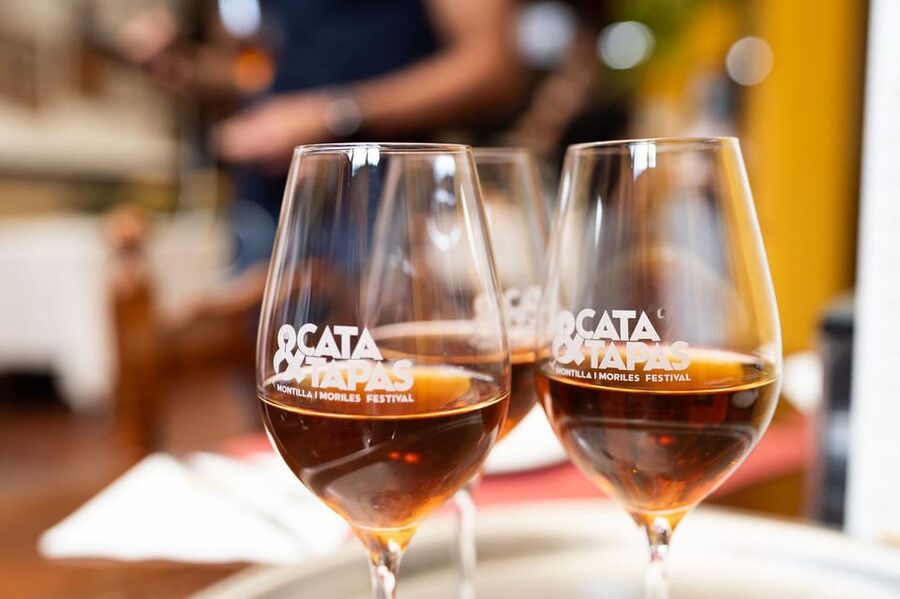 Cordoba: Tapas Bars Tour With Local Guide - Stop one: local wine and Córdoba’s classic flavors