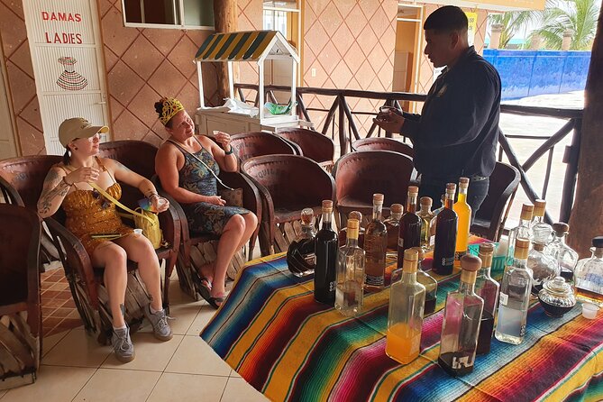 Cozumel 5-Hour Private Bar Crawl Tour - Rasta Bar and the optional final stop