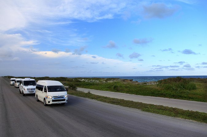 Cozumel Private Shuttle For Groups to Top Beach Clubs - Meeting your driver at the cruise port