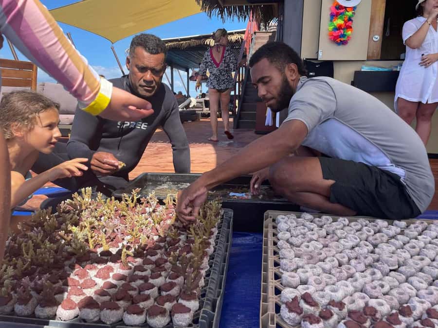 Denarau: Seventh Heaven Floating Bar Day Trip - What to budget beyond the $77 ticket