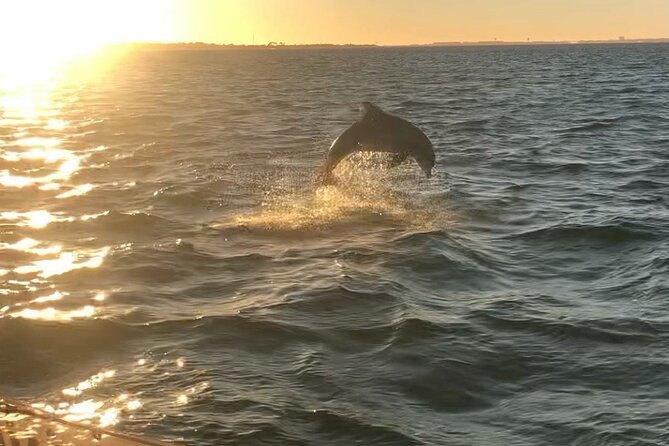 Destin's Floating Tiki Bar Cruise: 360° Harbor Views - Is $60 a fair price?