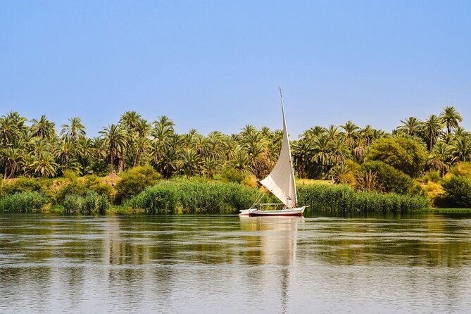 Discover The Amazing Nightlife Of Cairo And Riding the Carriage - Key points to know before you book