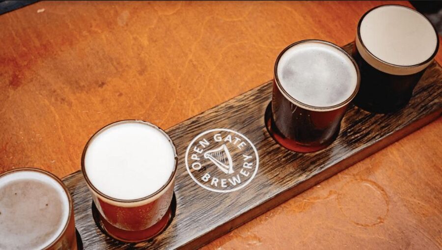 Dublin: Traditional Pubs Walking Tour with Local Guide - The guides are the heart of the experience