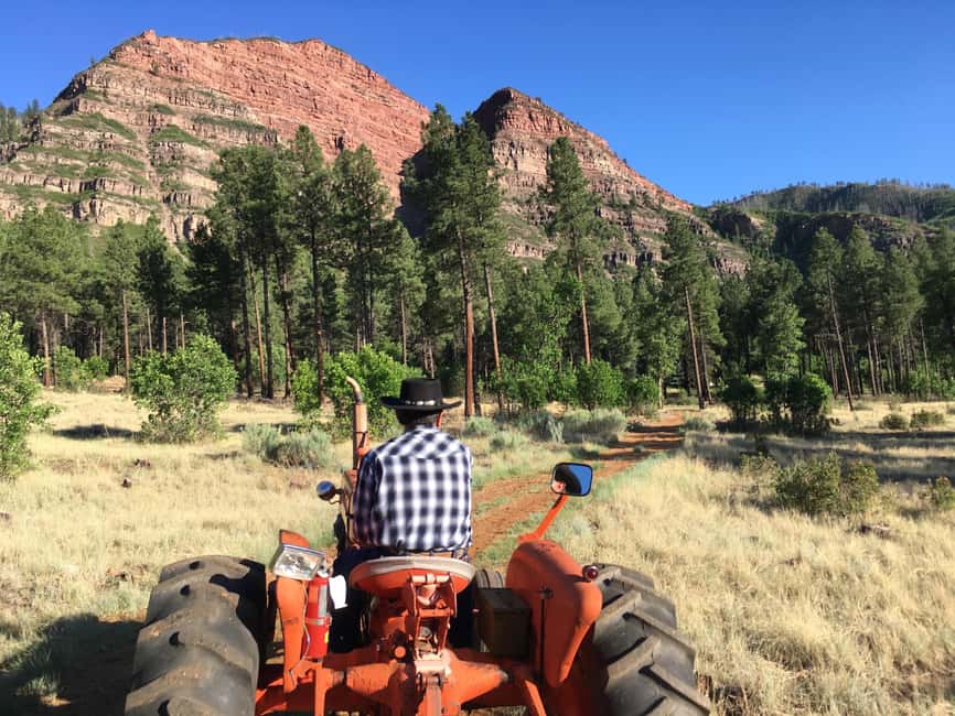 Durango: Bar D Chuckwagon Supper and Show Ticket - Should you book the Bar D Chuckwagon Supper?