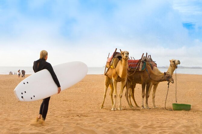Essaouira Guided Tour: 3 on 1 - Nightlife tour, Live like a local & Street food - A food-first way into Essaouira’s old town