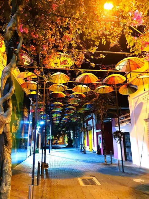 Experience the Nightlife: Puerto Plata + Sosua + Cabarete - Sosua brings the bar-to-bar part of the evening