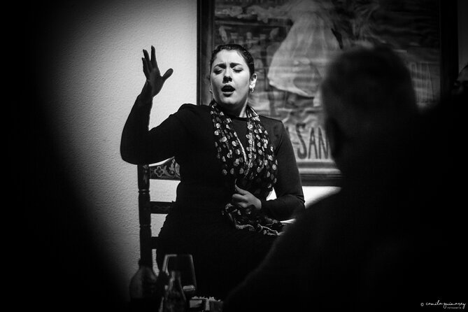 Flamenco Show in Seville at Bar and Tapas - Who will enjoy this show most