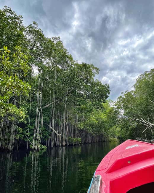 Floyd’s Pelican Bar, Ys Falls and Black River Safari Tour - The private-car advantage