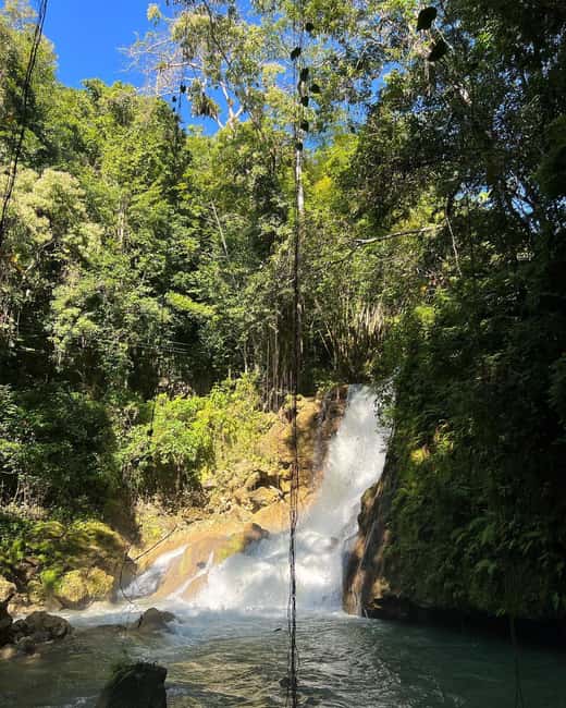 Floyd’s Pelican Bar, Ys Falls and Black River Safari Tour - What the $253 price really buys