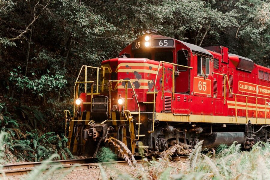 From Fort Bragg: Redwoods Train Ride and Nightclub Ticket - Key points to know