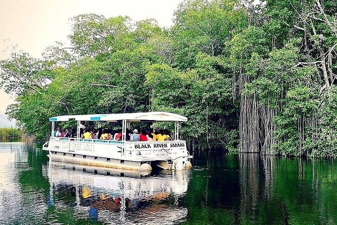 Full-Day South Coast - YS Falls, Pelican Bar & Black River Safari - Why this South Coast day works so well