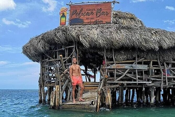 Full-Day South Coast - YS Falls, Pelican Bar & Black River Safari - What your driver adds to the day