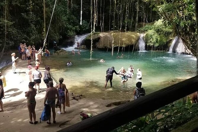 Full-Day South Coast - YS Falls, Pelican Bar & Black River Safari - Who will get the most from this tour