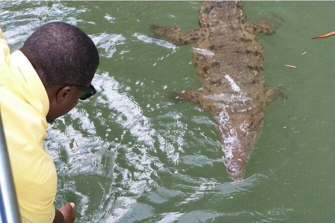 Full-Day South Coast - YS Falls, Pelican Bar & Black River Safari - YS Falls and its seven cascades