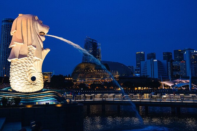 Fun Vee Night Out Guide Tour with River boat - Gardens by the Bay and the 15-minute Rhapsody show
