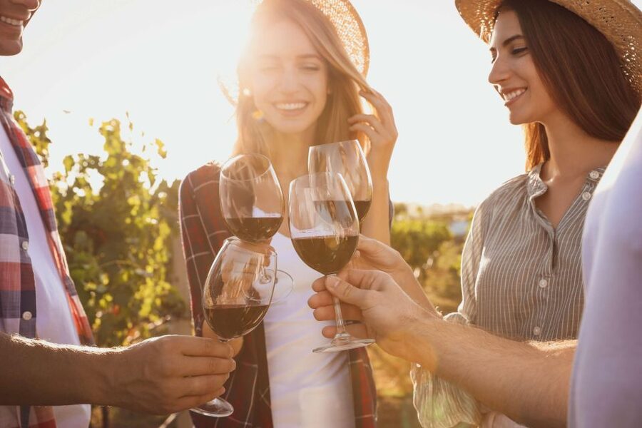 German Wine Self-Guided Tour in Munich's Old Town Wine Bars - German wine regions in the glass