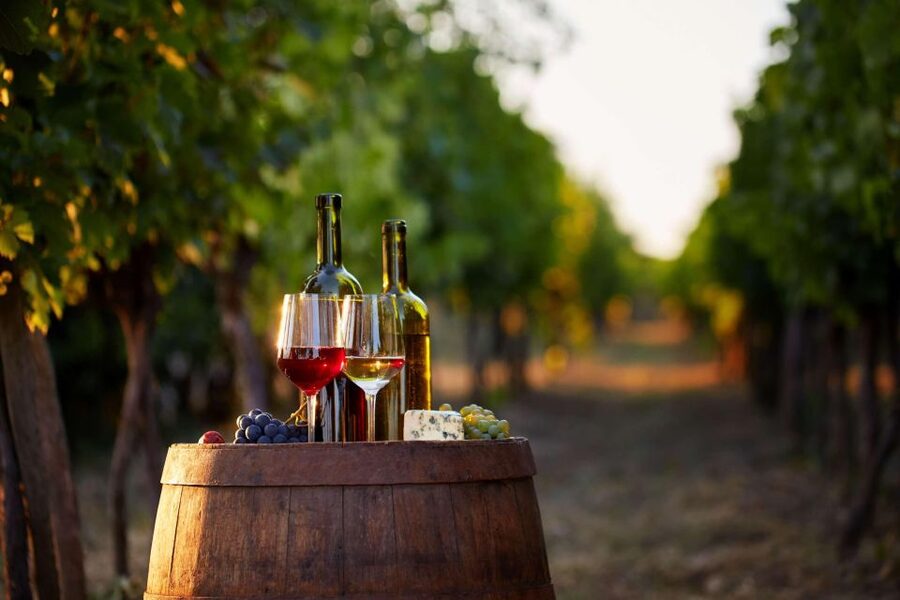 German Wine Self-Guided Tour in Munich's Old Town Wine Bars - Useful planning advice before you go