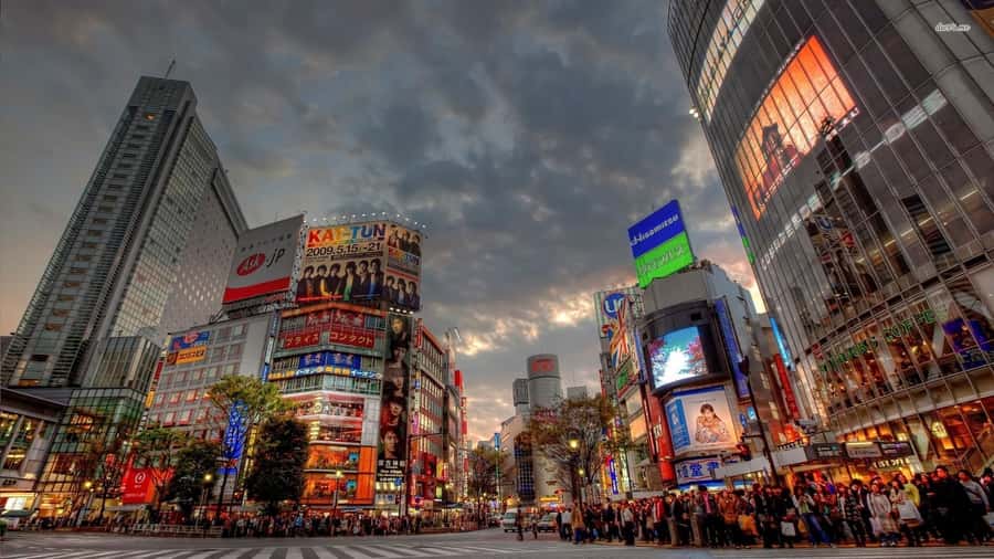 Get to know Shinjuku (nightlife optional) - Seeing the Godzilla Head above Kabukicho