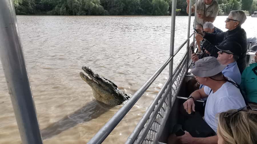 Jumping Croc Cruise, Berry Springs,Fogg Dam & Humpty Doo Pub - Who should book this experience?