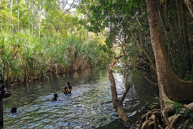Jumping Croc Cruise, Berry Springs,Fogg Dam & Humpty Doo Pub - Starting in Darwin with local context