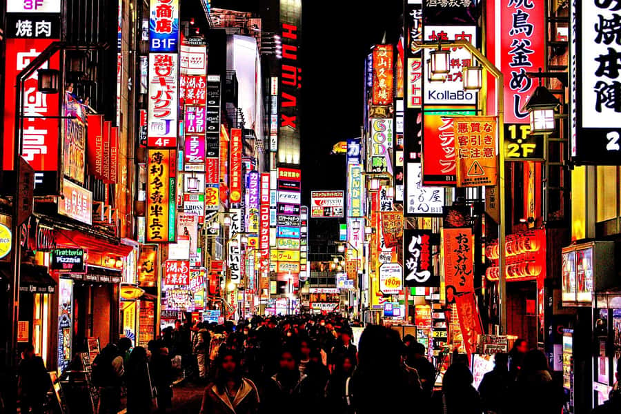 Kabukicho bar hopping & grab a bite tour - Key points at a glance