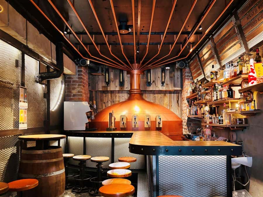 Kabukicho bar hopping & grab a bite tour - Finishing with beer and karaoke at Shinjuku Ale