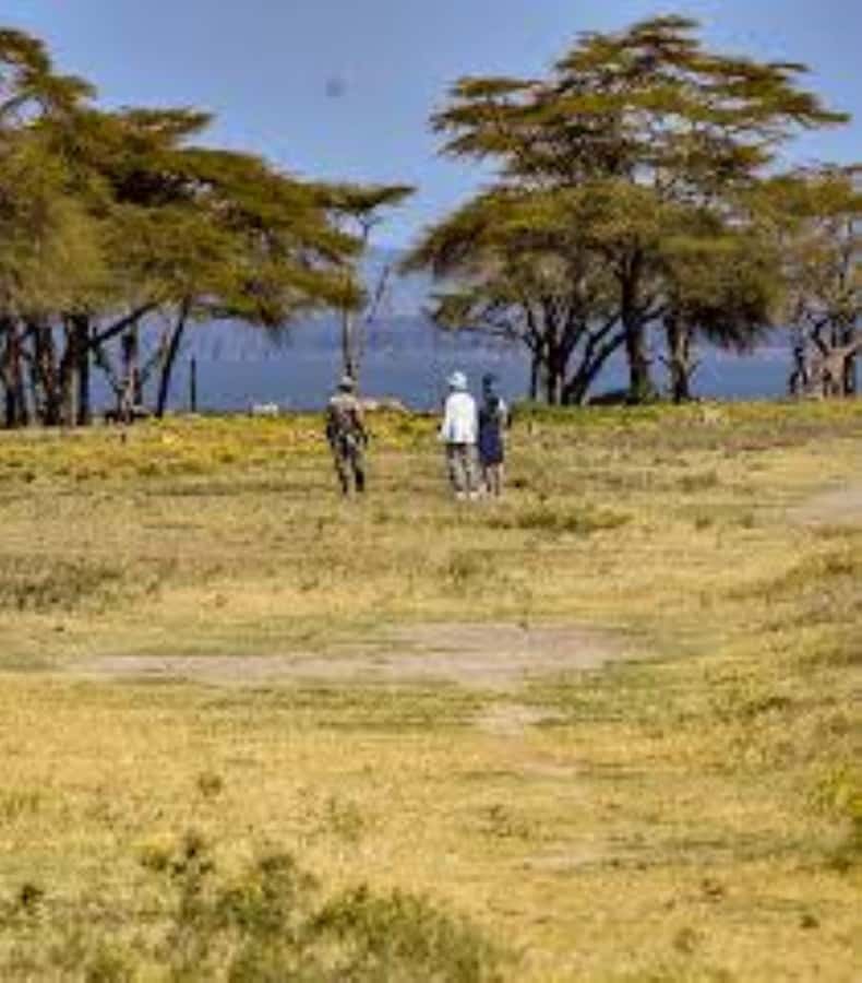 Lake Naivasha Adventure: Crescent Island with Boat Safari - Private groups and family appeal