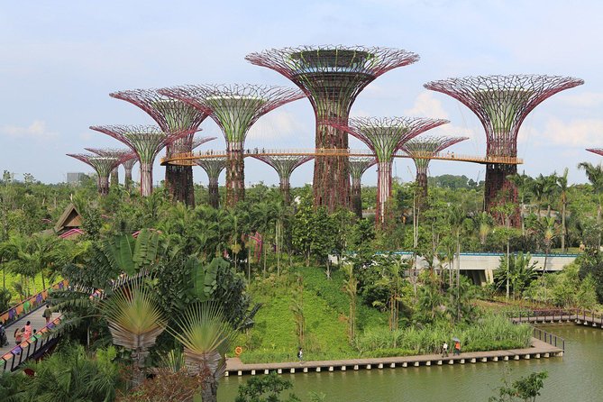 Lion City Night Out + Roundtrip Transfers - What Makes This Singapore Night Tour Worth Considering